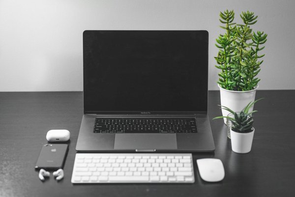 Quels sont les avantages de l'utilisation des réseaux de neurones convolutifs pour la reconnaissance d'images ?